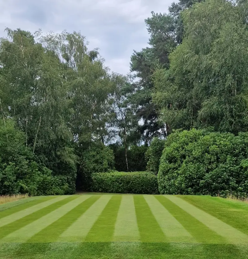 Image of work done on golf fairway